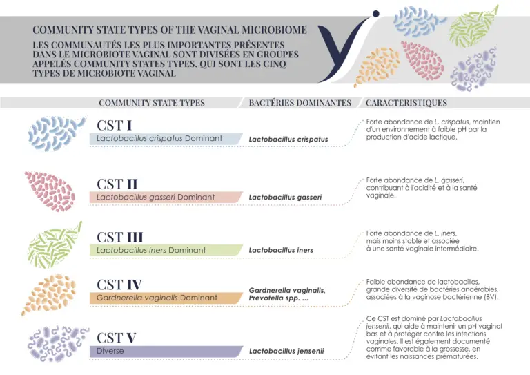 Les 5 compositions les plus frequentes du microbiote vaginale, appelés Community State Type